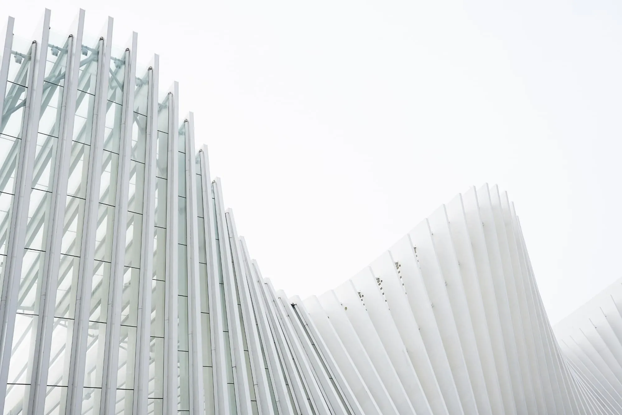 Banner 3